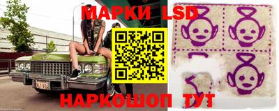 стаф Сланцы