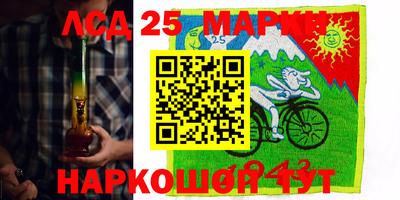 стаф Сланцы