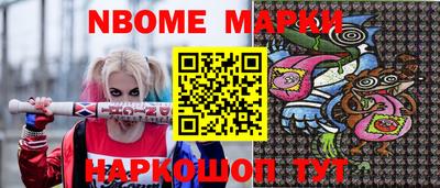 стаф Сланцы