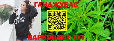 стаф Сланцы