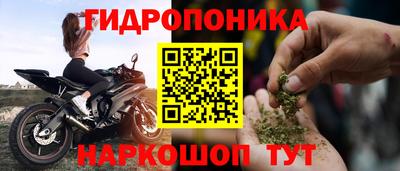 стаф Сланцы