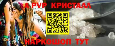 стаф Сланцы