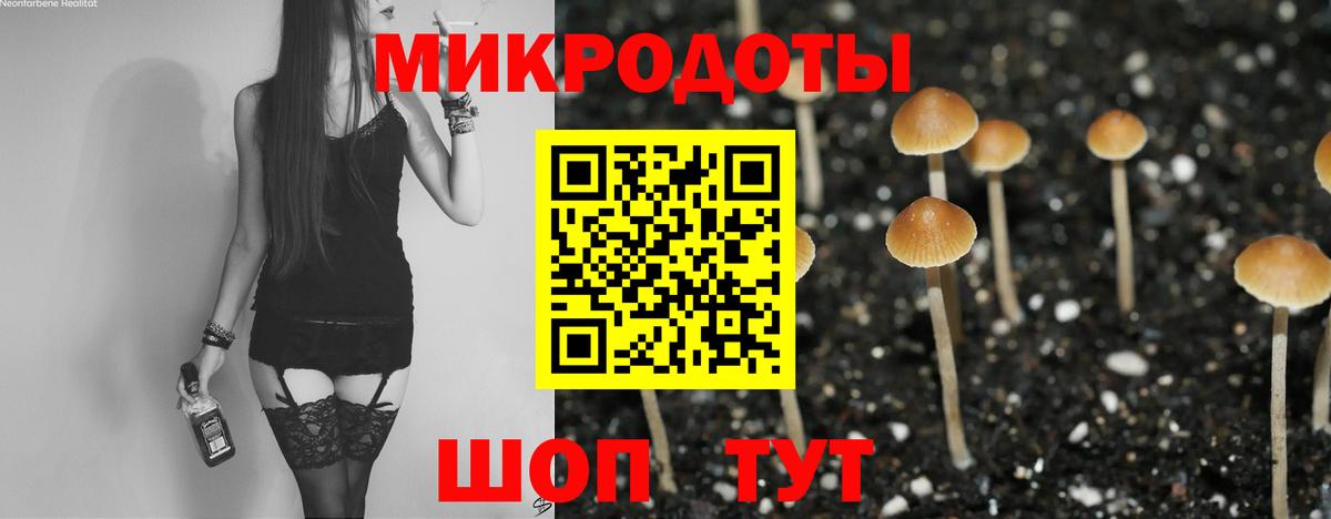 Галлюциногенные грибы ЛСД  Вход с VPN  Галлюциногенные грибы мицелий  Новокубанск 